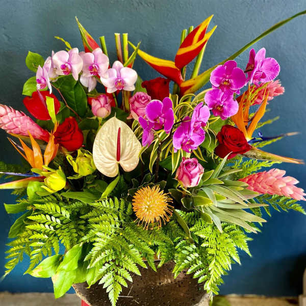 Large tropical arrangement with orchids, roses, anthurium, protea and birds of paradise in a dark pot