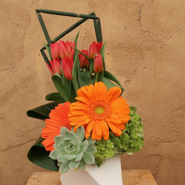 Orange gerbera daisies and pink tulips in a white vase with succulents