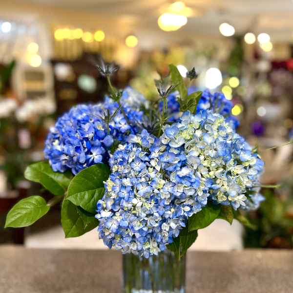 Blue hydrangea bouquet in a clear glass vase