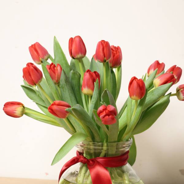 Red tulips in a clear glass vase with a red ribbon