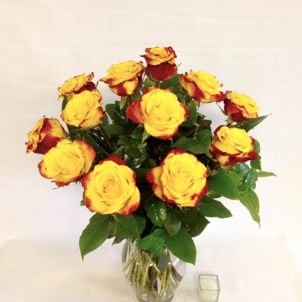 High and Yellow Magic