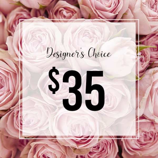 Designer's Choice-35$