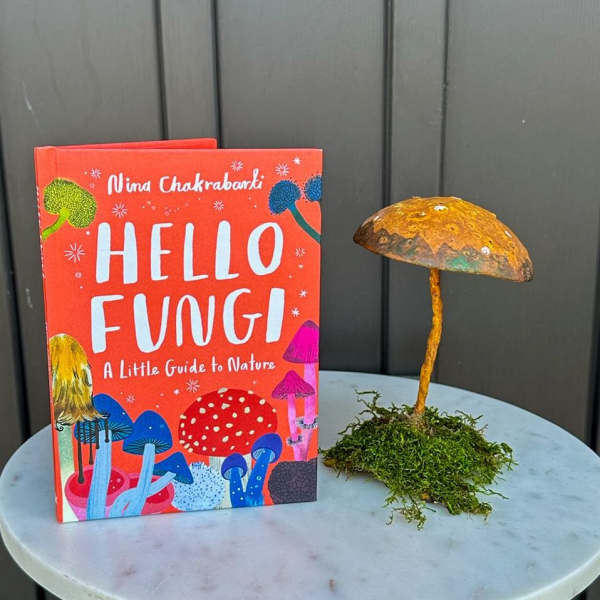 Red mushroom-themed nature book beside a rustic mushroom figurine on moss