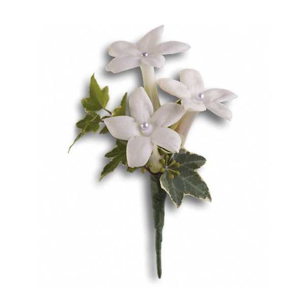 Small white flower boutonniere with green ivy leaves