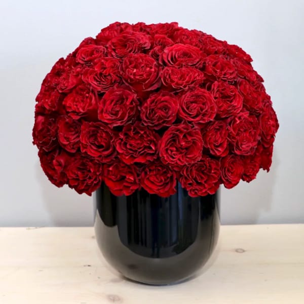 Dense arrangement of red roses in a glossy black vase