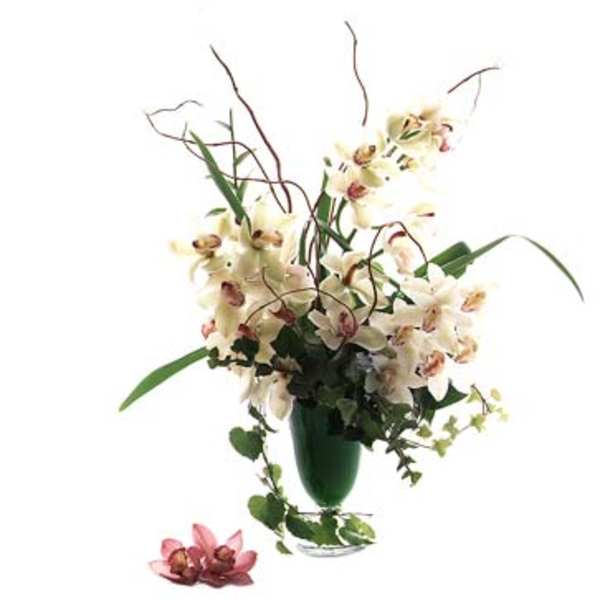 White orchid arrangement in a green vase with trailing vines