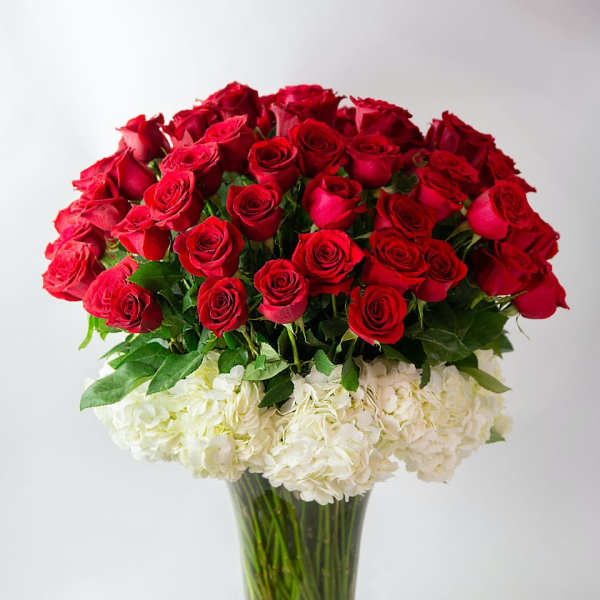 Red roses and white hydrangeas in a clear glass vase