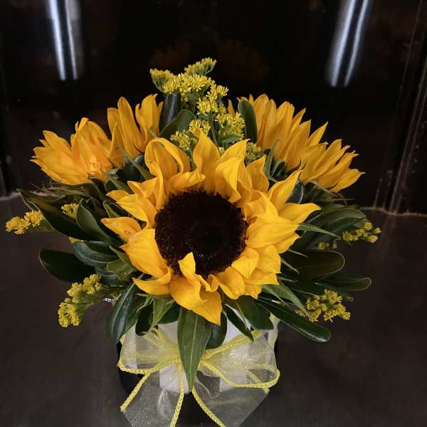 Sunflower arrangement in a black vase with yellow ribbon