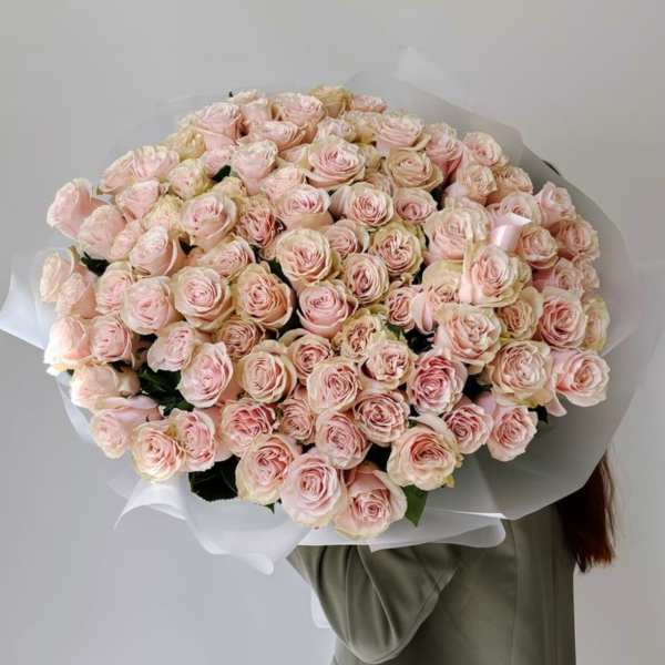 Large bouquet of pale pink roses wrapped in white paper