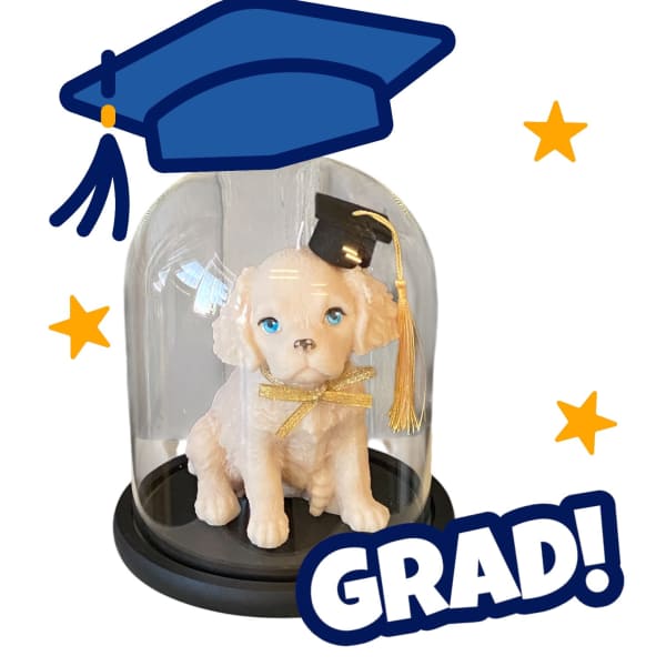 Graduation dog figurine under a glass dome with a cap and gold tassel