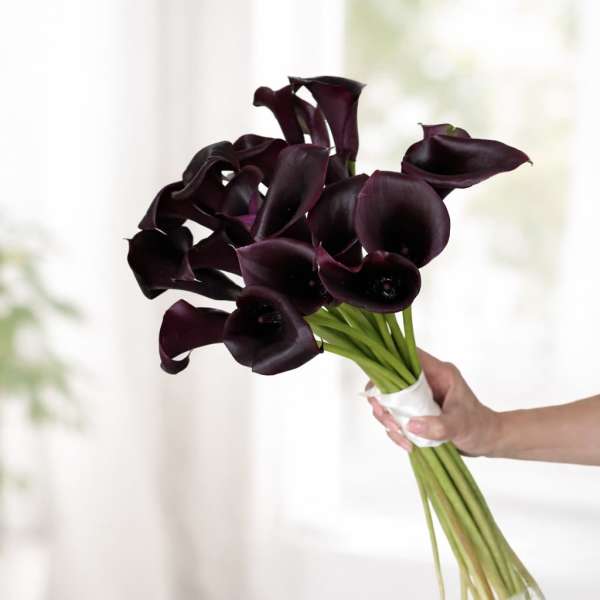 Midnight Calla Bouquet
