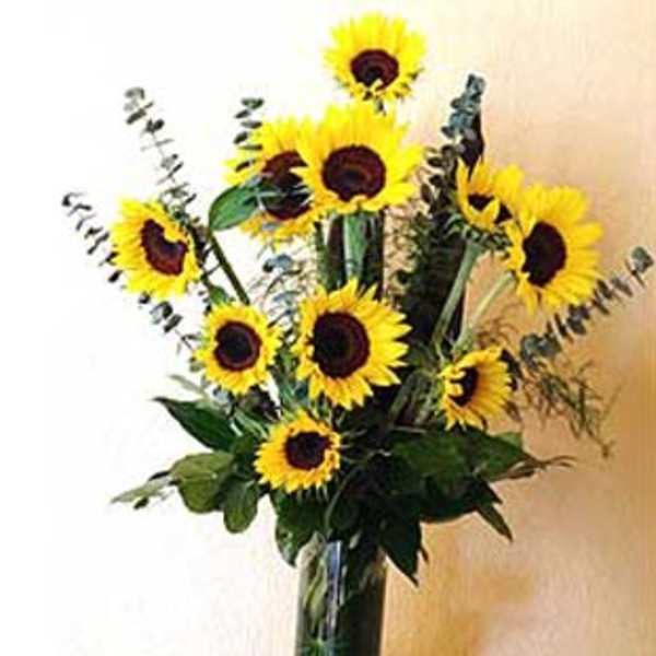 Tall arrangement of yellow sunflowers in a clear glass vase on a small round table