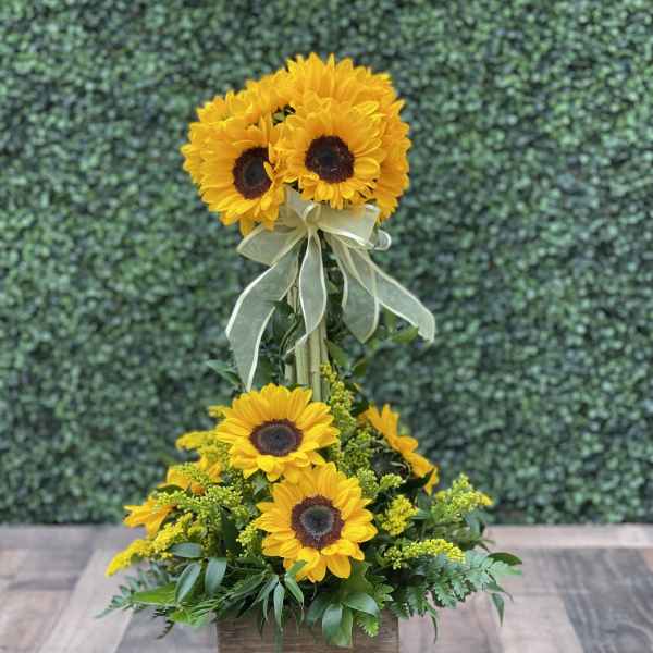 Sunflower arrangement in a wooden box with a ribbon bow