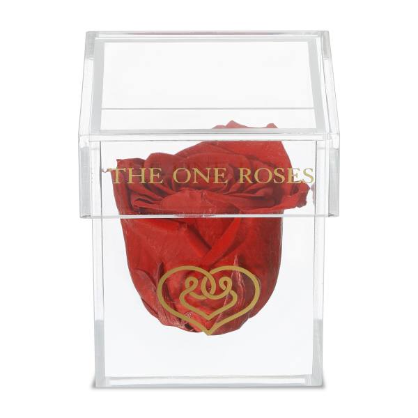 Single red rose in a clear acrylic box
