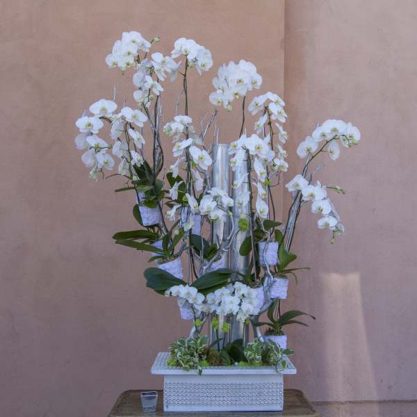 Tall white orchid arrangement in a decorative silver vase