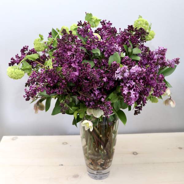 Tall glass vase filled with abundant purple lilacs and light green accent blooms.
