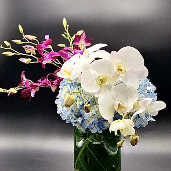 White orchids and blue hydrangeas in a glass vase with magenta orchid sprays