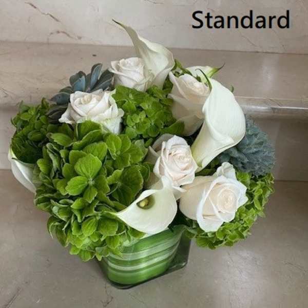 Short arrangement of white roses and calla lilies with green hydrangeas and succulents in a square glass vase