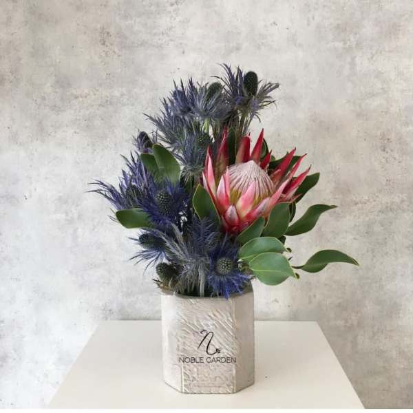 Protea arrangement with blue thistle in a white container
