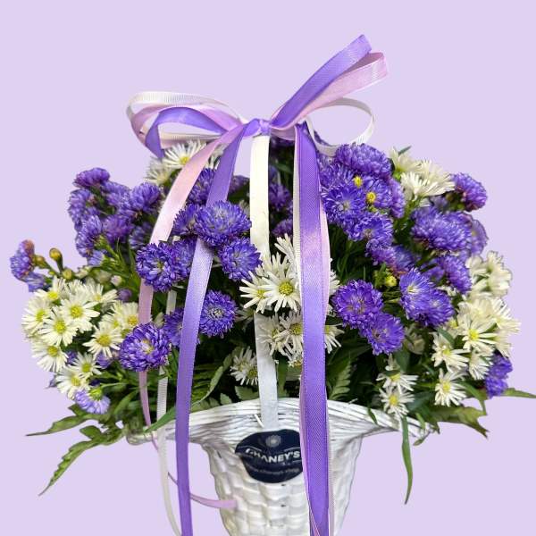Purple and white daisy bouquet in a white basket with ribbon bows