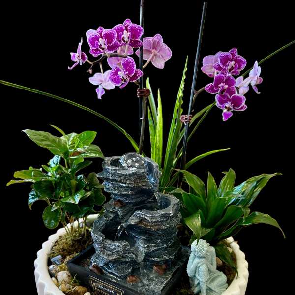 Purple orchids in a white planter with a small tabletop fountain
