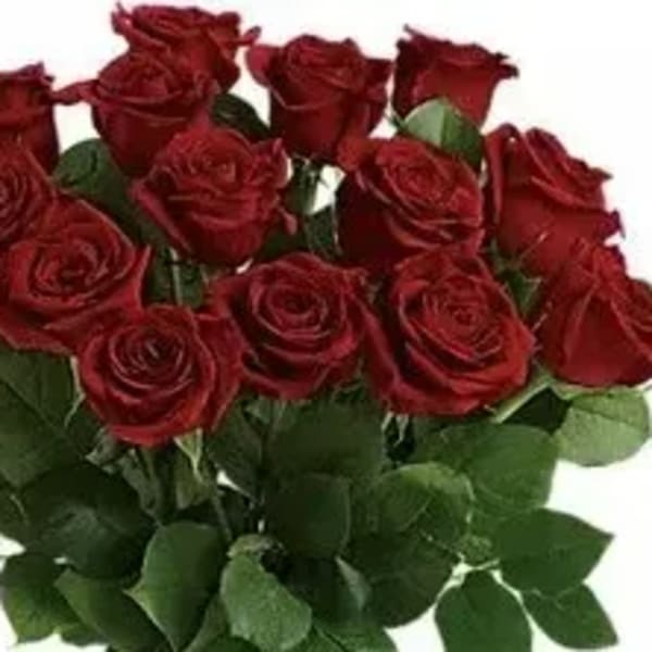 Bouquet of red roses with green foliage