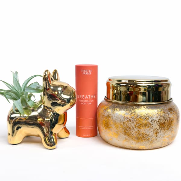 Gold dog planter with a small succulent, beside a candle jar and essential oil roll-on
