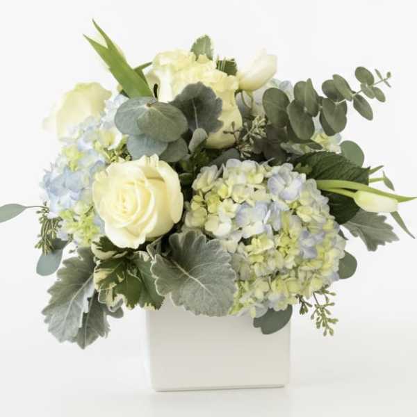 Cream roses and pale hydrangeas in a white box with eucalyptus