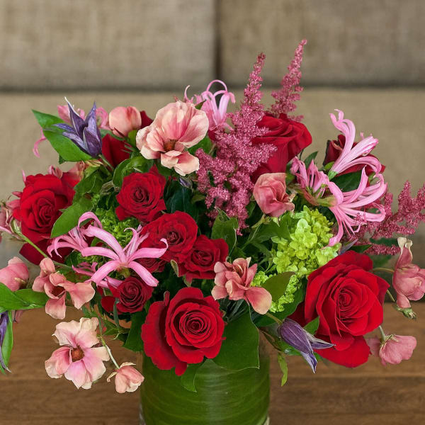 Velvety & Crimson Harmony