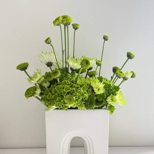Green chrysanthemum arrangement in a white rectangular vase