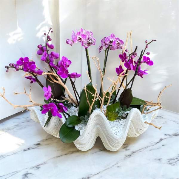 Purple orchids arranged in a white shell-shaped planter with white stones