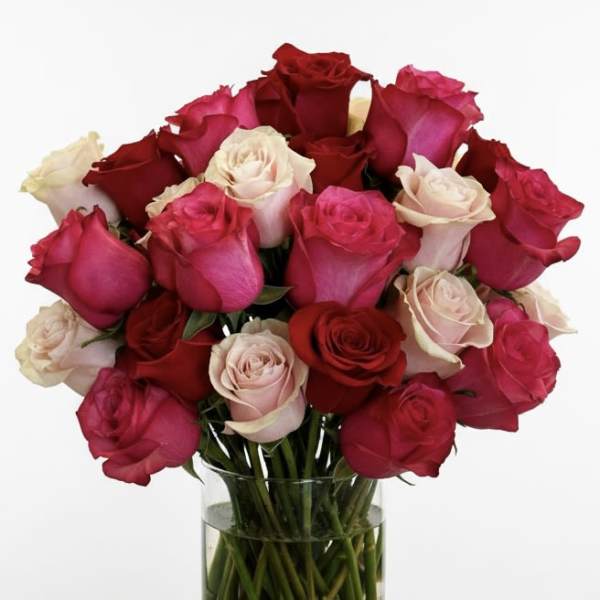 Bouquet of red, pink, and white roses in a clear glass vase