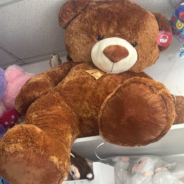 Large brown teddy bear plush sitting on a shelf