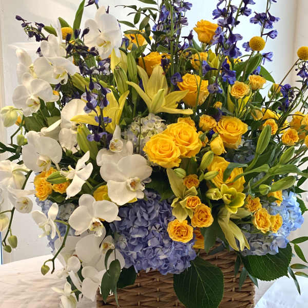 Basket arrangement of white orchids, yellow roses, and blue hydrangeas