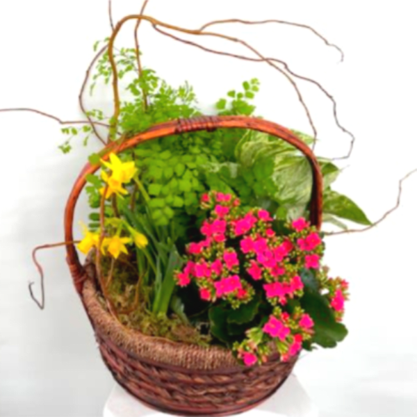 Basket of potted flowering plants with pink blooms and yellow flowers