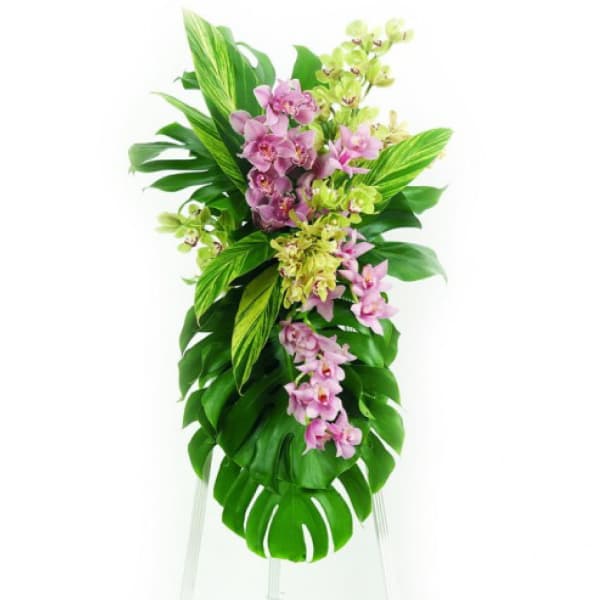 Pink and green orchid arrangement with large tropical leaves