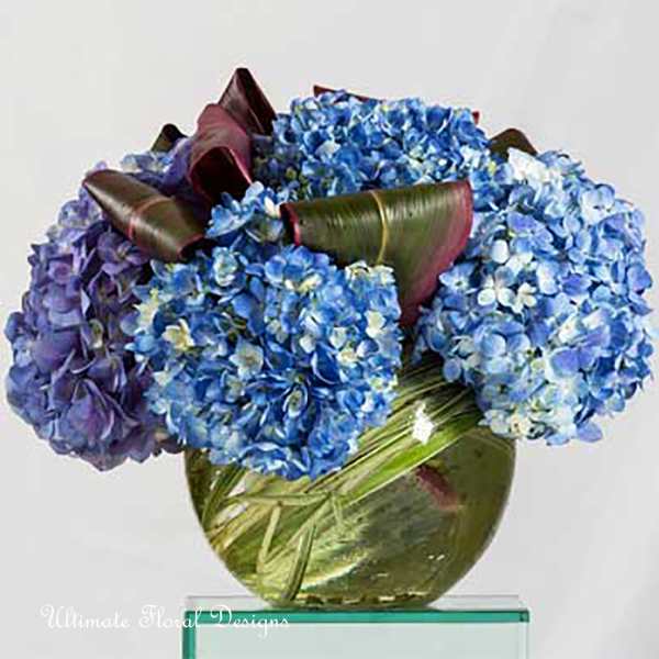 Blue hydrangea arrangement in a glass vase with curled leaves
