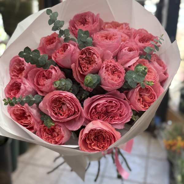 Bouquet of pink roses wrapped in pale paper