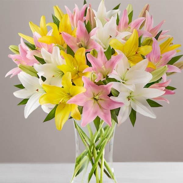 Bouquet of pink, white, and yellow lilies in a clear glass vase