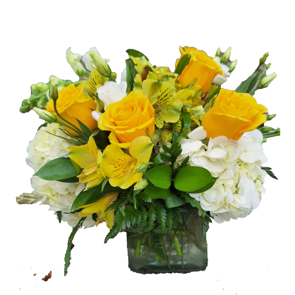 Yellow roses and white hydrangeas in a square glass vase