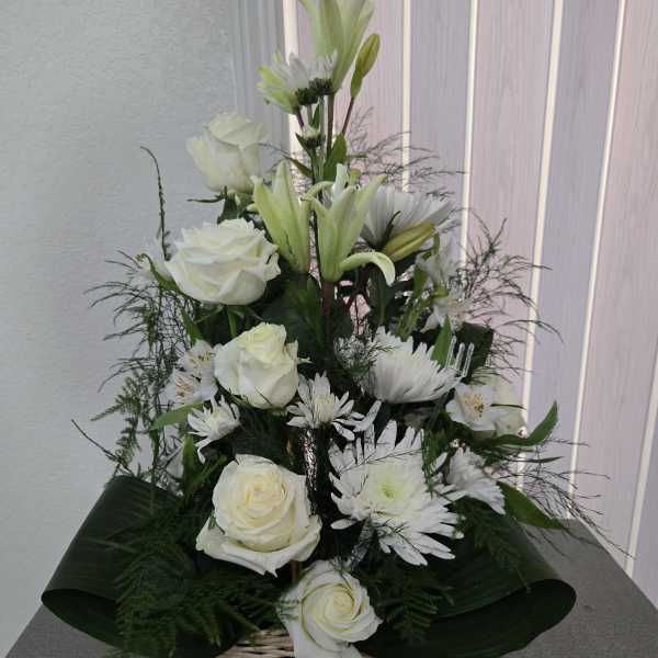 My sincere condolences