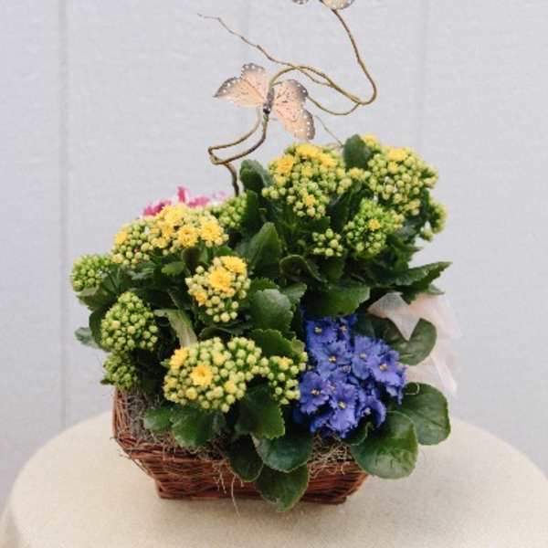 Basket arrangement with yellow and blue flowers topped by butterfly picks