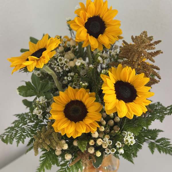 Sunflower Embrace **Container may vary**