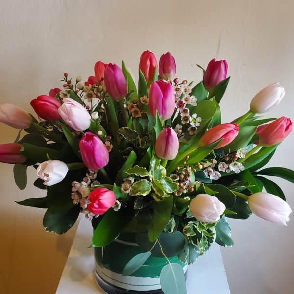 Bouquet of pink and white tulips in a round vase