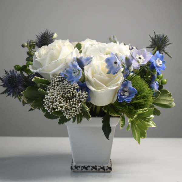 White roses and blue flowers arranged in a white vase