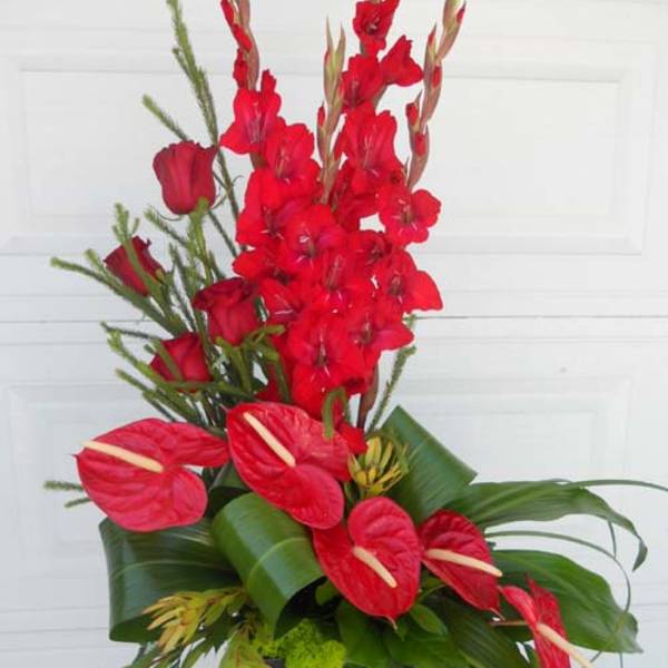 Red tropical floral arrangement with anthuriums and gladiolus in a black container