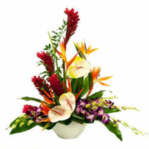 Tropical flower arrangement in a white bowl with red, orange, and white blooms