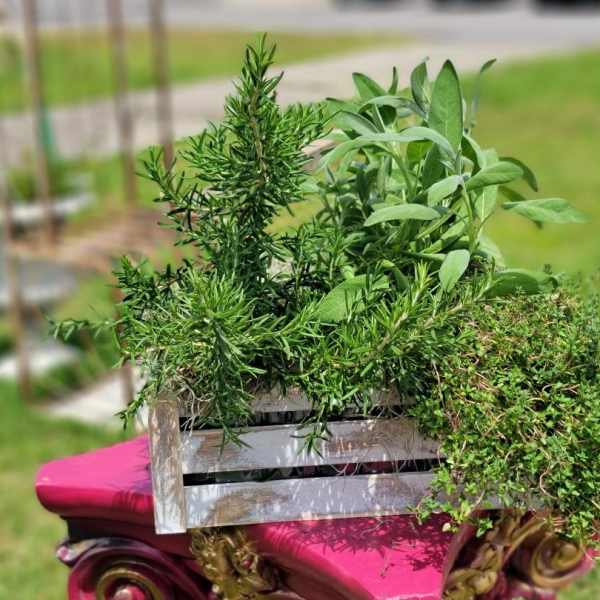 Herb Basket