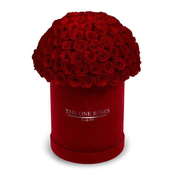 Large dome of red roses in a red round box