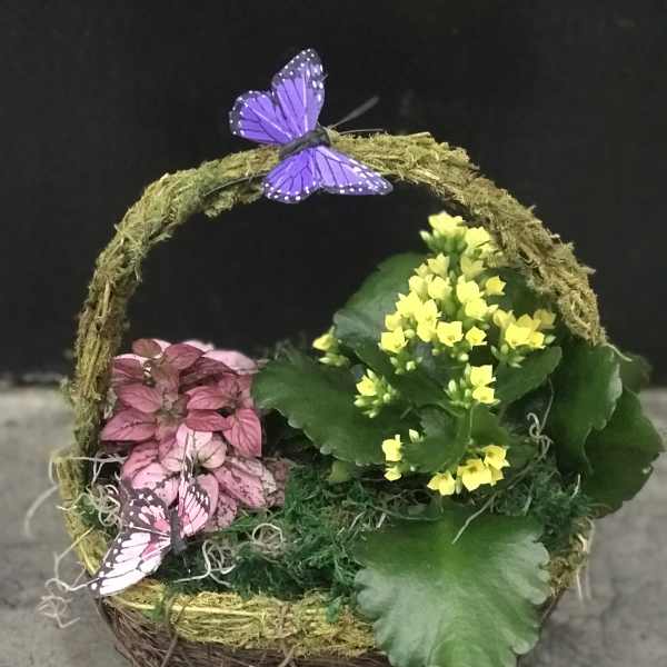 Basket planter with pink and yellow flowers and purple butterfly decorations